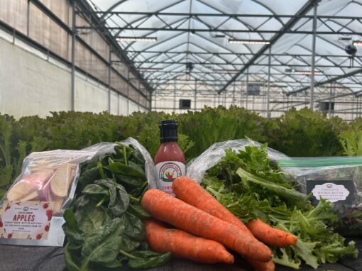 Spring Harvest Box