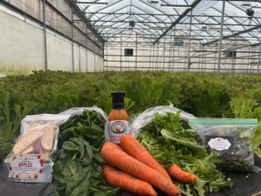 Spring Harvest Box - Image 4