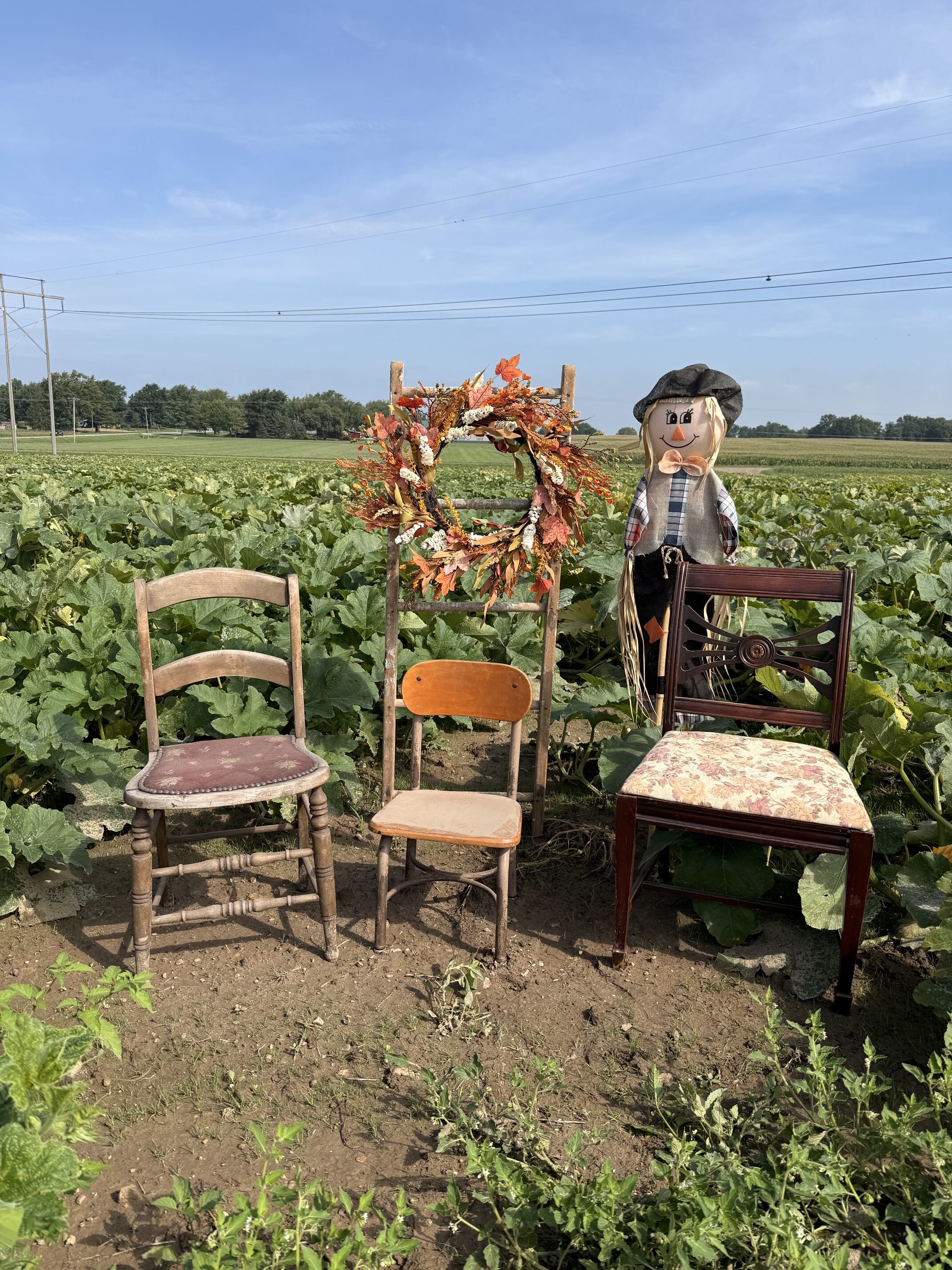 Fall Family Fun Crisp Country Acres